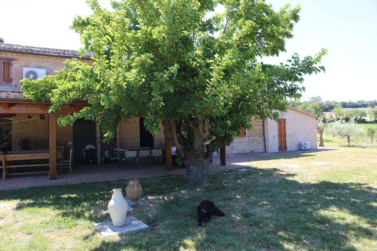 Casale Talevi Βίλα Cartoceto Εξωτερικό φωτογραφία